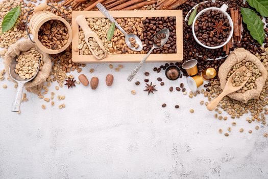 Green and brown decaf unroasted and dark roasted coffee beans in wooden box with scoops setup on white concrete background.