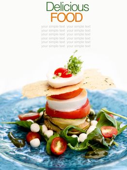 Fresh mozzarella sandwich tomato and salad .