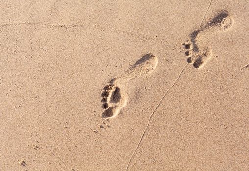 Footprints on the tropical beach.