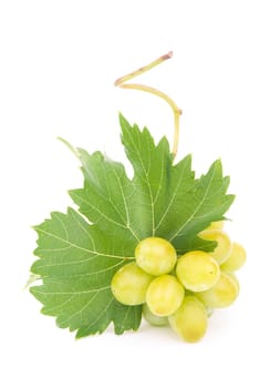 Green grape with leaves isolated on white. With clipping path.