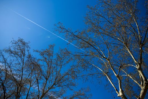 blue sky with many clouds lines made of aircraft.