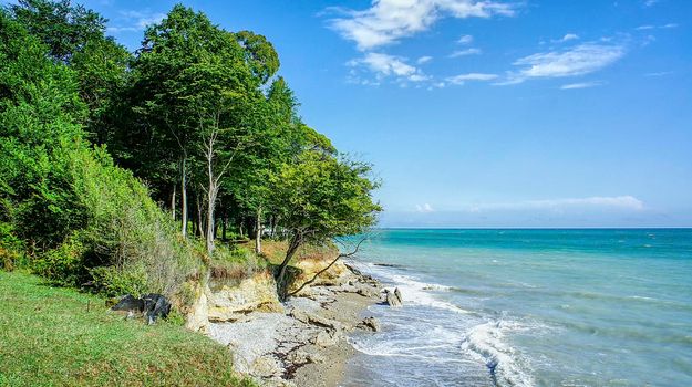 Seascape with coastline and trees. Bambora, Abkhazia
