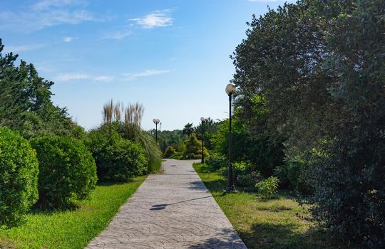 Natural landscape with a view of the Park of southern cultures. Sochi, Russia