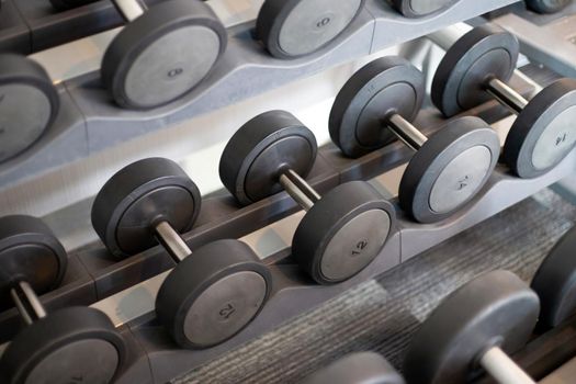 Dumbbell rack in the fitness room