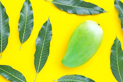 Top view of green mango with leaves on yellow background. Top view