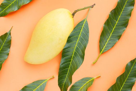 Top view of yellow mango, Tropical fruit  juicy and sweet.