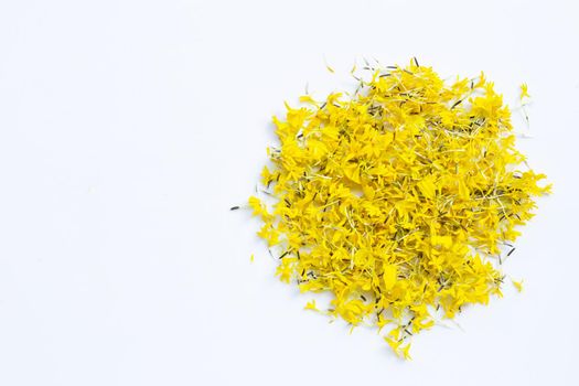 Marigold flower petals on white background