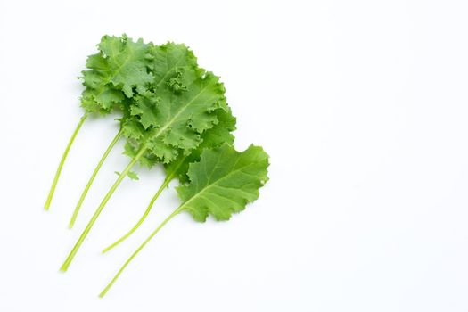 Kale leaves on white background. Top view