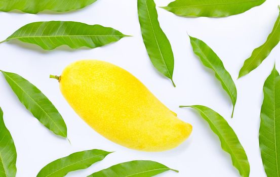 Tropical fruit, Mango with leaves on white background. Top view