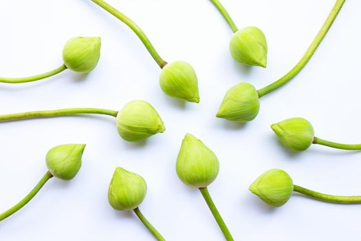 Lotus flower on white background. Top view
