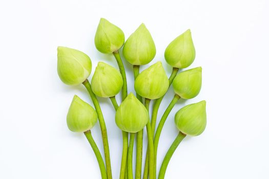 Lotus flower on white background. Top view