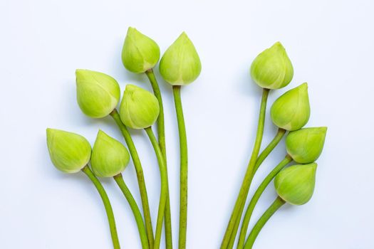 Lotus flower on white background. Top view