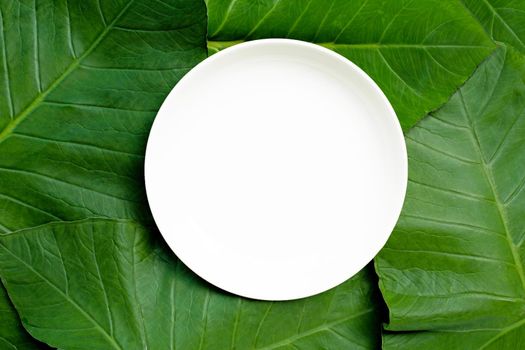 Empty white ceramic plate on taro leaves background. Top view