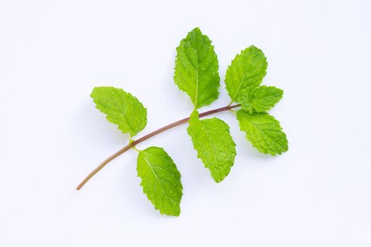 Fresh mint leaves on white background. Top view