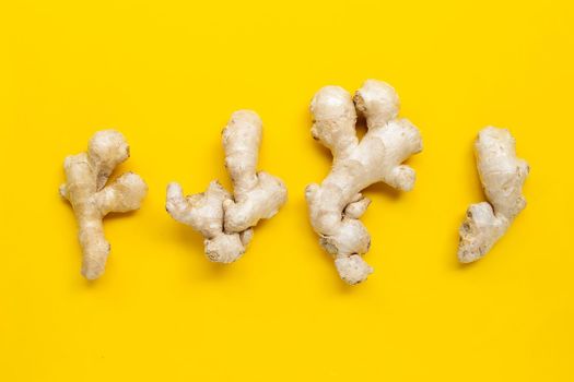 Ginger on yellow background.  Top view