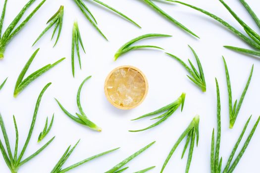 Aloe vera is a popular medicinal plant for health and beauty, on a white background.
