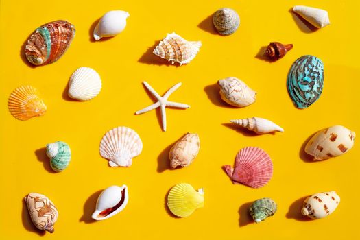 Composition of starfish and exotic sea shells on yellow background.