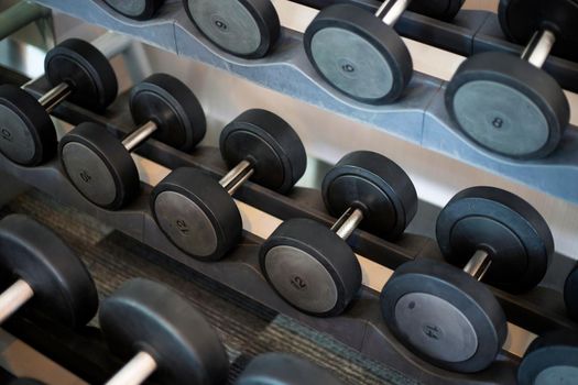 Dumbbell rack in the fitness room