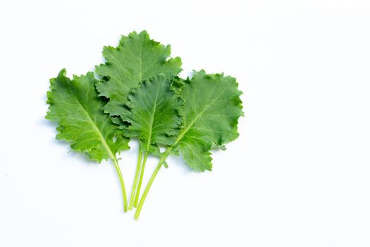 Kale leaves on white background. Top view