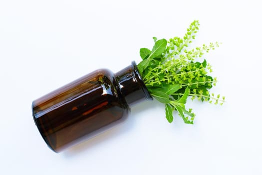 Fresh holy basil leaves and flower with essential oil bottle on white background.