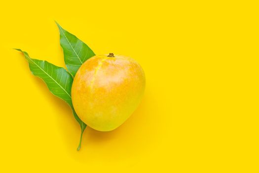 Tropical fruit, Mango on yellow background. Top view