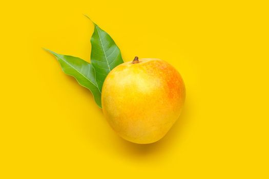 Tropical fruit, Mango on yellow background. Top view
