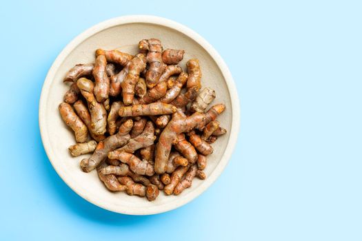 Turmeric roots on blue background.  Top view