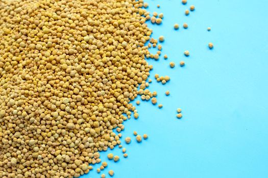 Chemical fertilizer for planting on blue background. Copy space