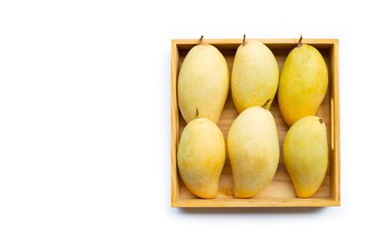 Tropical fruit, Mango  in wooen box on white background. Top view