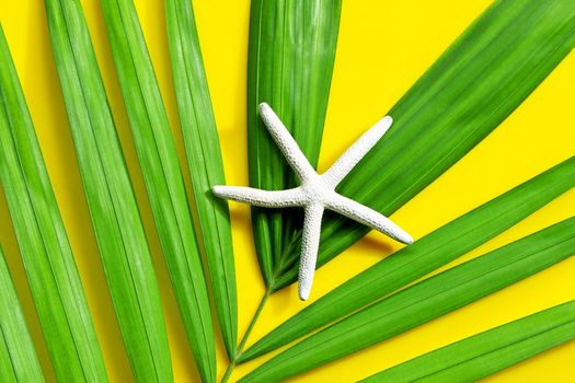 Starfish on tropical palm leaves on yellow background. Enjoy summer holiday concept. Top view
