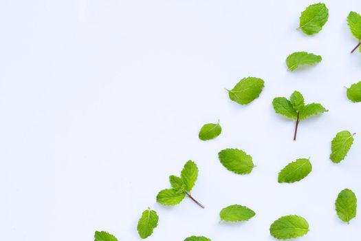 Fresh mint leaves on white background. Copy space