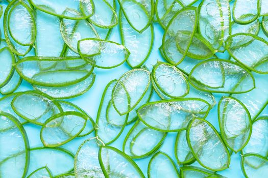 Aloe vera is a popular medicinal plant for health and beauty. Top view