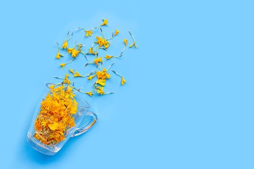 A glass cup with marigold flower petals on blue background. Flower herbal tea concept.