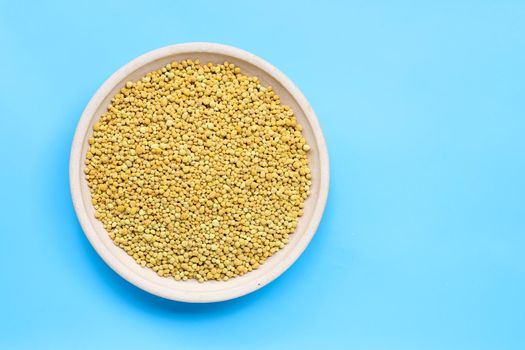 Chemical fertilizer for planting and plantation. Copy space