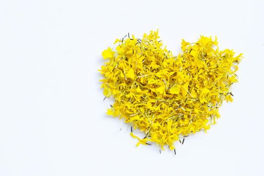 Marigold flower petals on white background. Heart shape