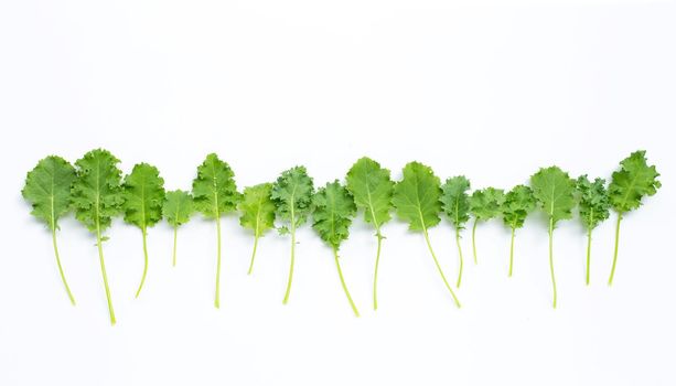 Kale leaves on white background. Top view
