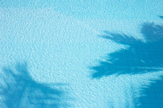 Water swimming pool surface for background. Reflection of palm tree