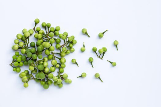 Turkey berry isolated on white background. Top view