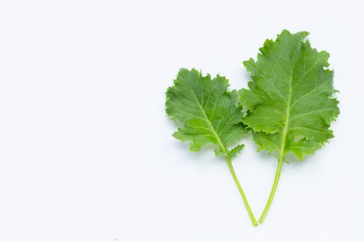 Kale leaves on white background. Top view
