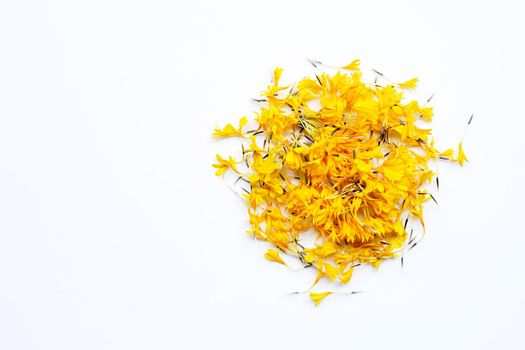 Marigold flower petals on white background.