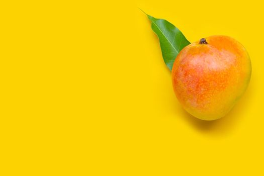 Tropical fruit, Mango on yellow background. Top view