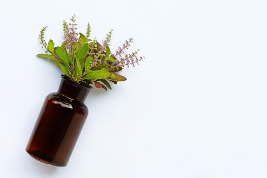 Fresh holy basil leaves and flower with essential oil bottle on white background.