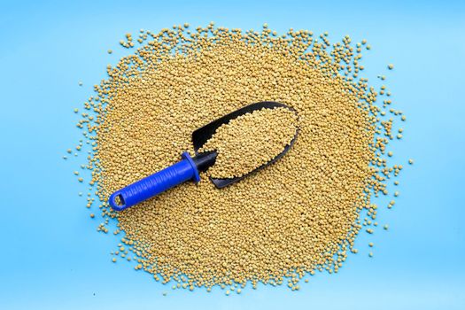 Chemical fertilizer with garden trowel for planting and plantation.