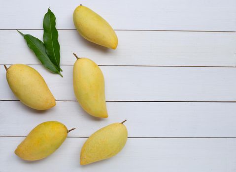 Tropical fruit, Mango  on white wooden background. Top view