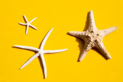 Three starfish on yellow background. Top view 
