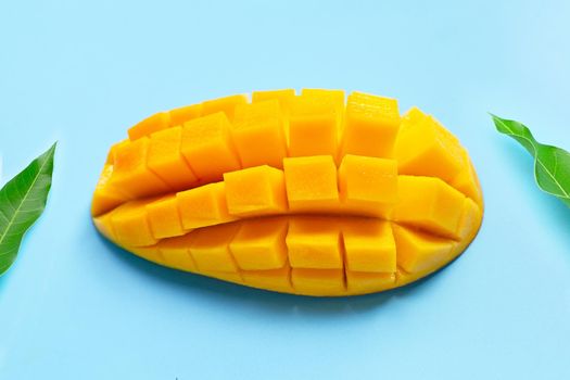 Tropical fruit, Mango  on blue background. Top view