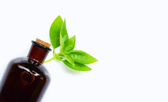 Basil leaves with essential oil bottle on white background.
