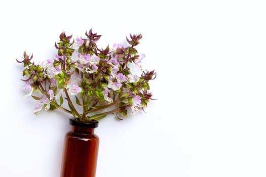 Essential oil bottle with sweet basil flower on white background.
