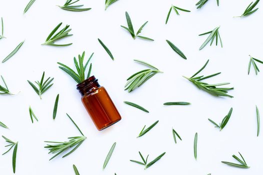Fresh rosemary leaves with essential oil bottle on white background. Copy space