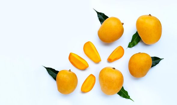 Tropical fruit, Mango  on white background. Top view